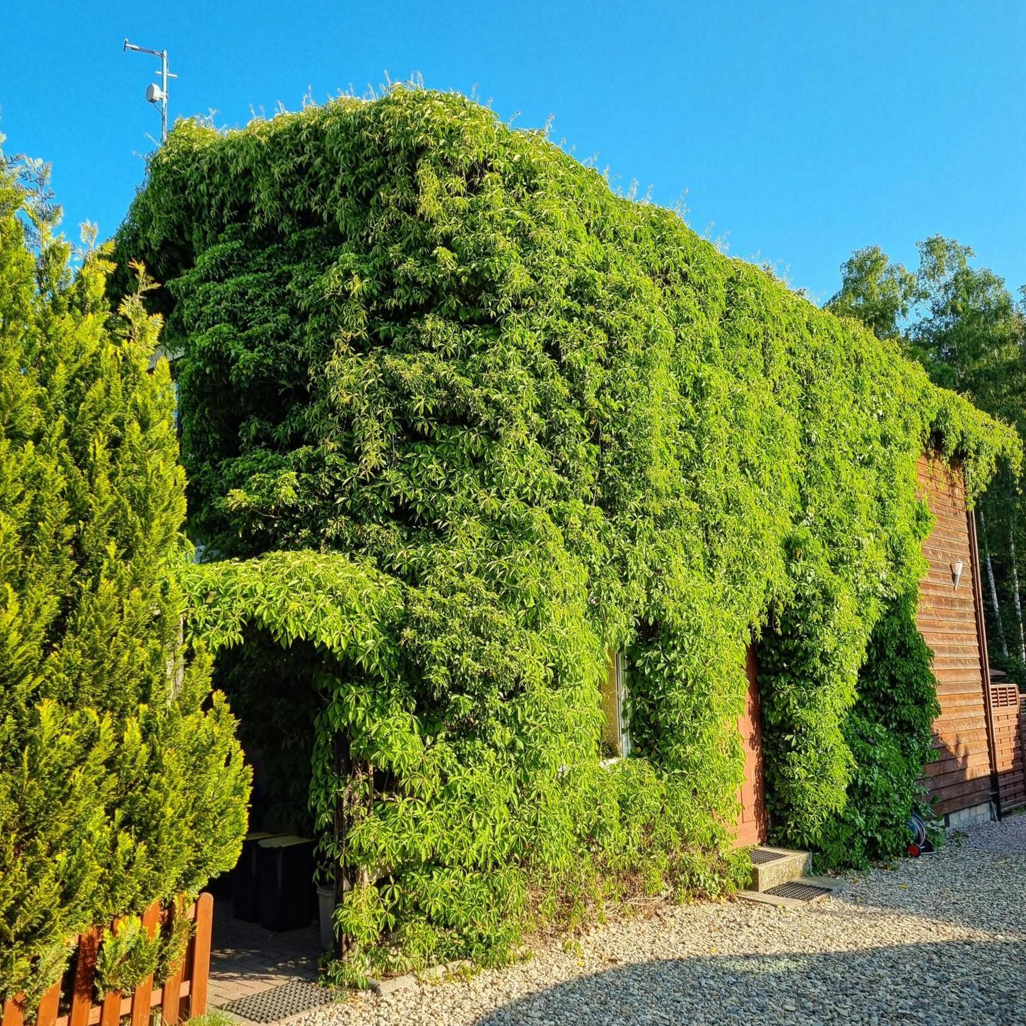 Wakacje Na Wyspie Gdaňsk Exteriér fotografie
